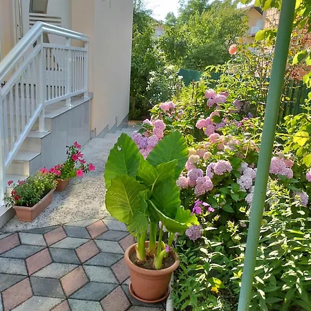 Apartament Sejmen *